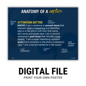 Anatomy of a Caption - Digital Poster