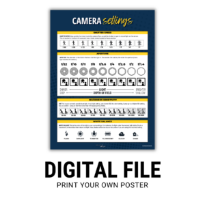Camera Settings - Digital Poster